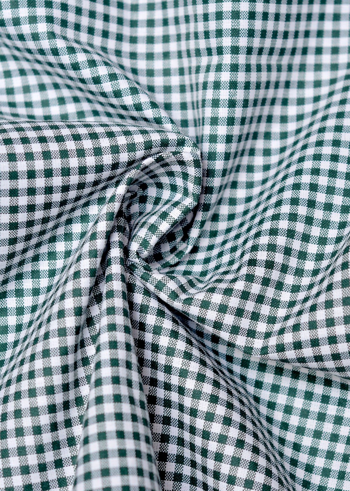 Evergreen Box Check Formal shirt